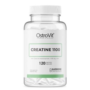خرید و قیمت کپسول کراتین 1100 استرویت 120 عددی OstroVit Creatine 1100