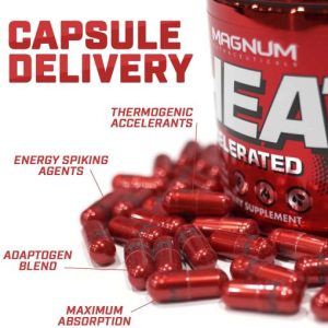 چربی سوز هیت مگنوم - مسترفیت