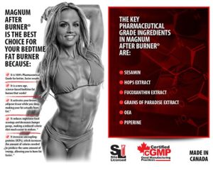 چربی سوز افتر برنر مگنوم بدون محرک - مسترفیت