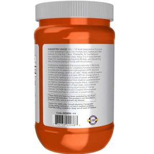 خرید و قیمت کراتین ناو میکرونایز شده 500 گرم NOW Micronized Creatine - مسترفیت