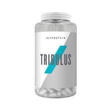 تریبولوس مای پروتیین 90 عددی - مسترفیت