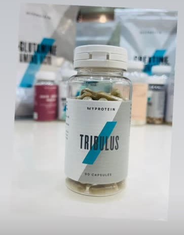 تریبولوس مای پروتیین 90 عددی - مسترفیت