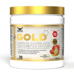 خرید و قیمت گلد کراتین وایکینگ فورس VIKING GOLD CREATINE - مسترفیت